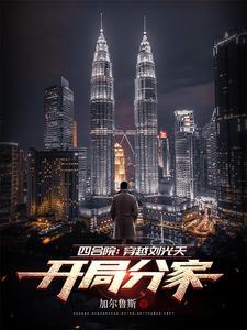 四合院我是刘光天飞卢