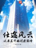 仕途之风云