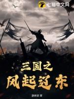 三国之帝国风云