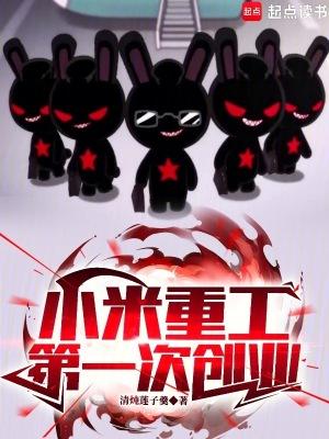 小米有限公司