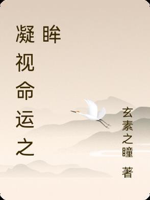 凝视命运之眸是什么歌