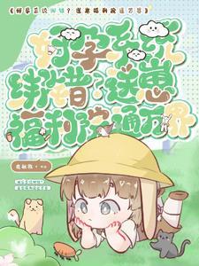 崽崽系统