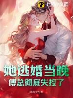 闪婚后傅少把她捧心尖