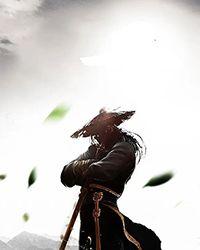 武侠类mmo