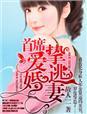 首席总裁的逃妻免费全文