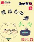 我家古井通武侠
