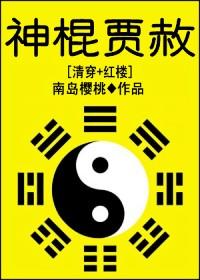 红楼贾赦神功盖世