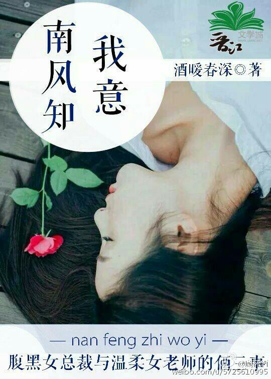南风知我意电视剧剧情介绍