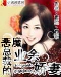 恶魔总裁的小妻子免费阅读