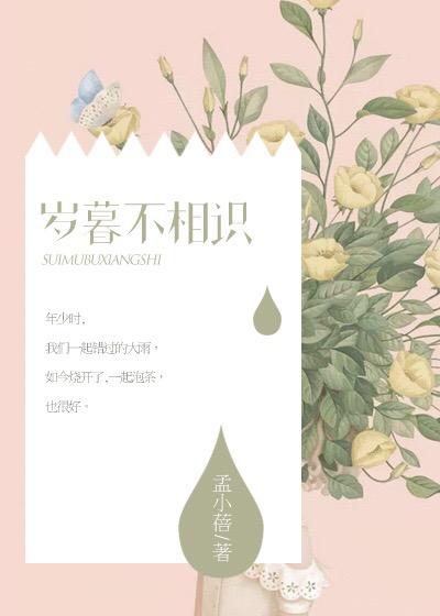 岁暮啥意思