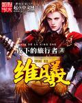 维曦是杂牌子还是名牌