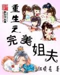 类似重生之完美姐夫的