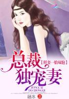 一胎双宝总裁宠妻无度全文免费阅读