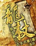 大秦宝藏txt