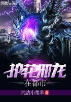 护花邪少