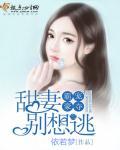 霸宠甜甜妻完整