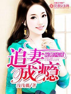秘婚讲的是什么