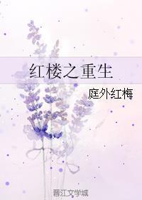 重生之红楼梦