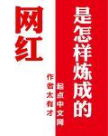 网红是怎么当上的