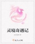 灵境传奇拍摄时间