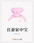 丑妻家中宝美妻是什么