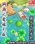 网游之魅