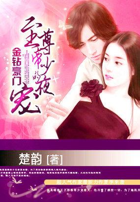 顾少追妻33次免费阅读