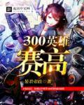 300英雄zzz