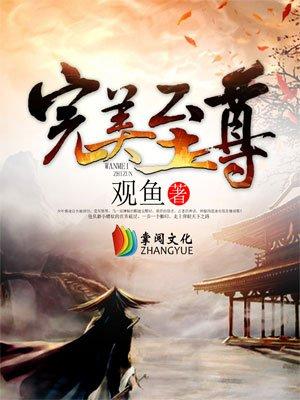 完美至尊电视剧