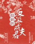 捡到的反派成夫君91baby