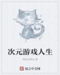 次元游戏综
