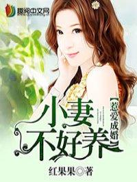 惹爱成婚·染指首席总裁