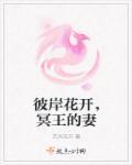 呆萌帝妃拒婚了叶轻轻免费