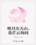 明月出天山苍茫云海间指的是哪座山