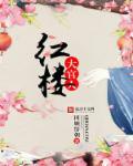 红楼大官人女主有哪些