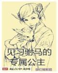 驸马公主找你