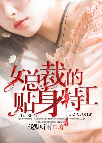 女总裁的贴身特工电视剧