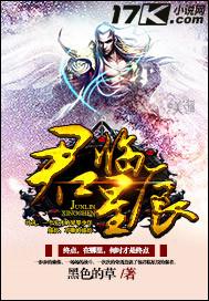 君临星空简介