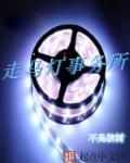 走马灯文化