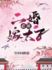 二婚要嫁给太子