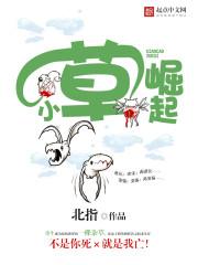 小草cⅰ2021