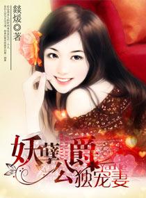 妖孽丞相独宠妻大结局
