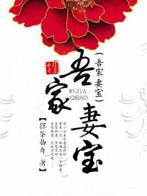 吾家妻宝晋江