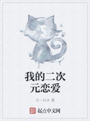 我的二次元之旅