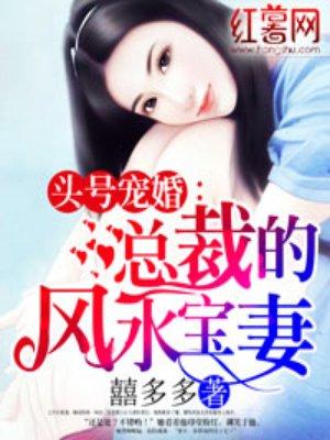 总裁的风范