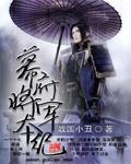 幕府将军什么意思