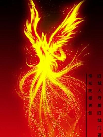 凤凰于飞