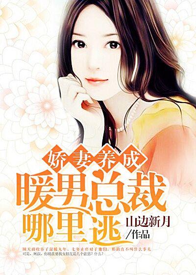 暖婚总裁的小娇妻