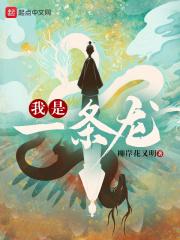 我是一条龙英文怎么说