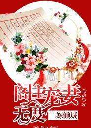 二嫁倾城 医品王妃